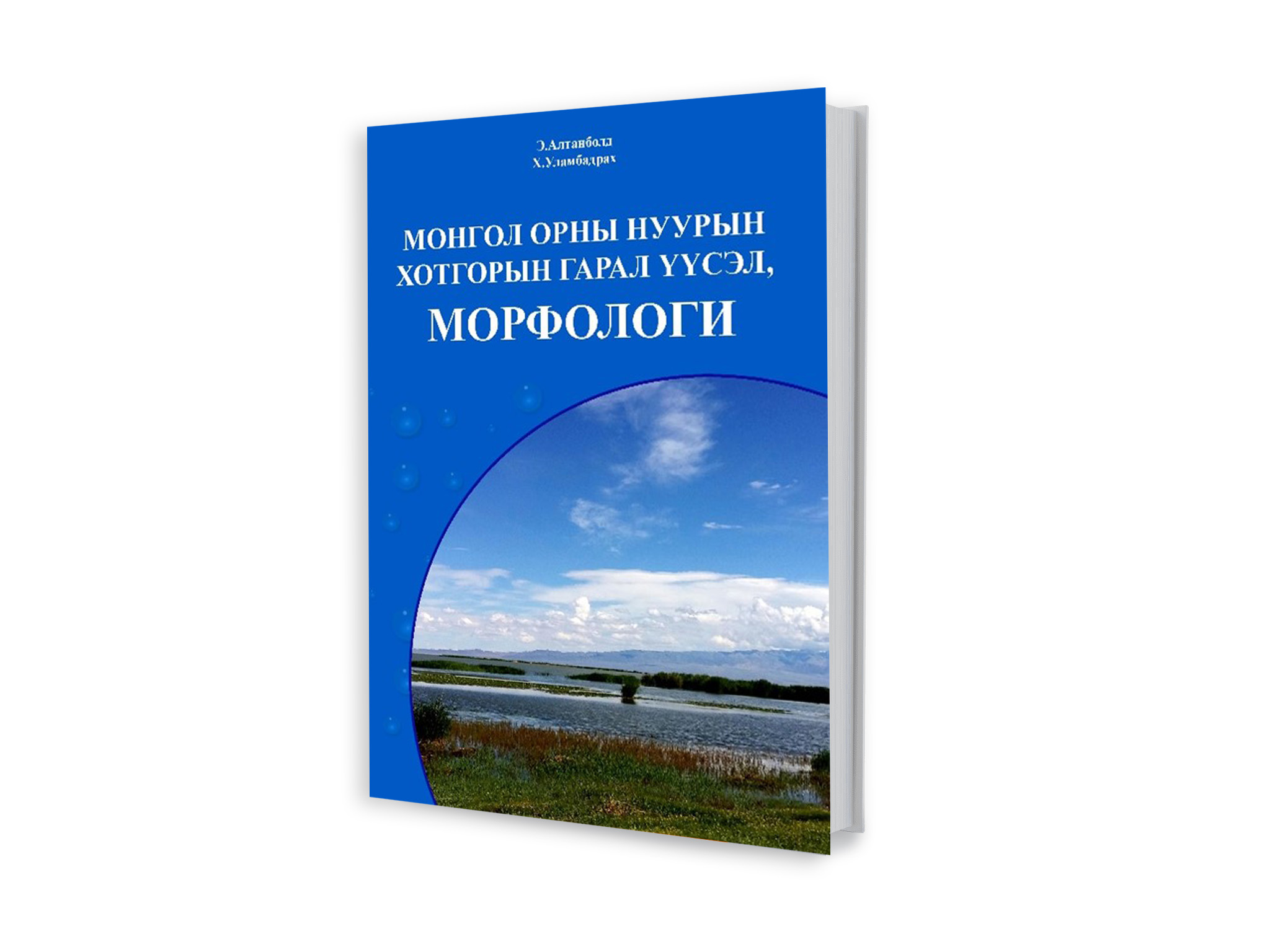 Монгол орны нуурын хотгорын гарал үүсэл, морфологи